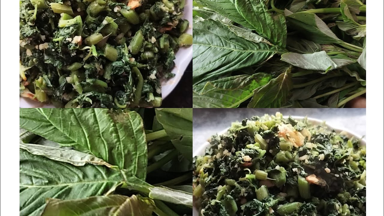 💁🏻‍♀️राजगीरयाची भाजी रेसिपी | तेही सोप्या गावाकडील पद्धतीने | rajgira bhaji 