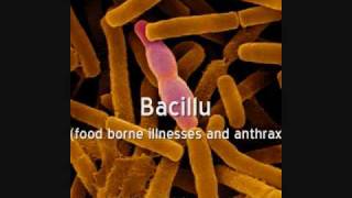 Inhaling Bacteria with Cigarette Smoke