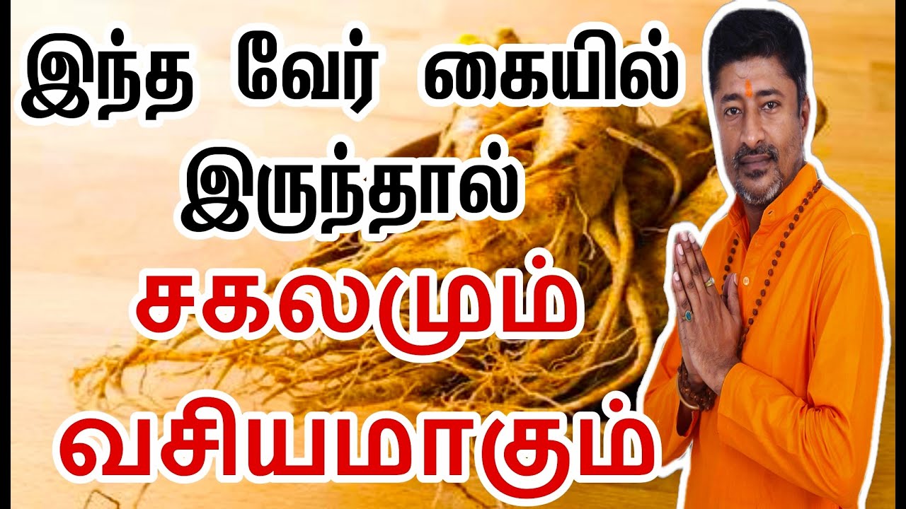 சகலமும் வசியமாக இந்த வேர் இருந்தால் போதும்