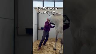 LOUD Horse Crack Compilation 🔊🤯 pt.2 #asmr