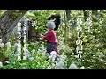 光、風…匂い。鮮度の良い春を堪能する/花と若葉/お庭ごはん/レコード/猫/益子暮らしの便り〜春〜