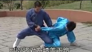 Shaolin Kung Fu: big Hong Quan combat applications screenshot 4