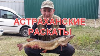 Астраханские раскаты или атака жереха