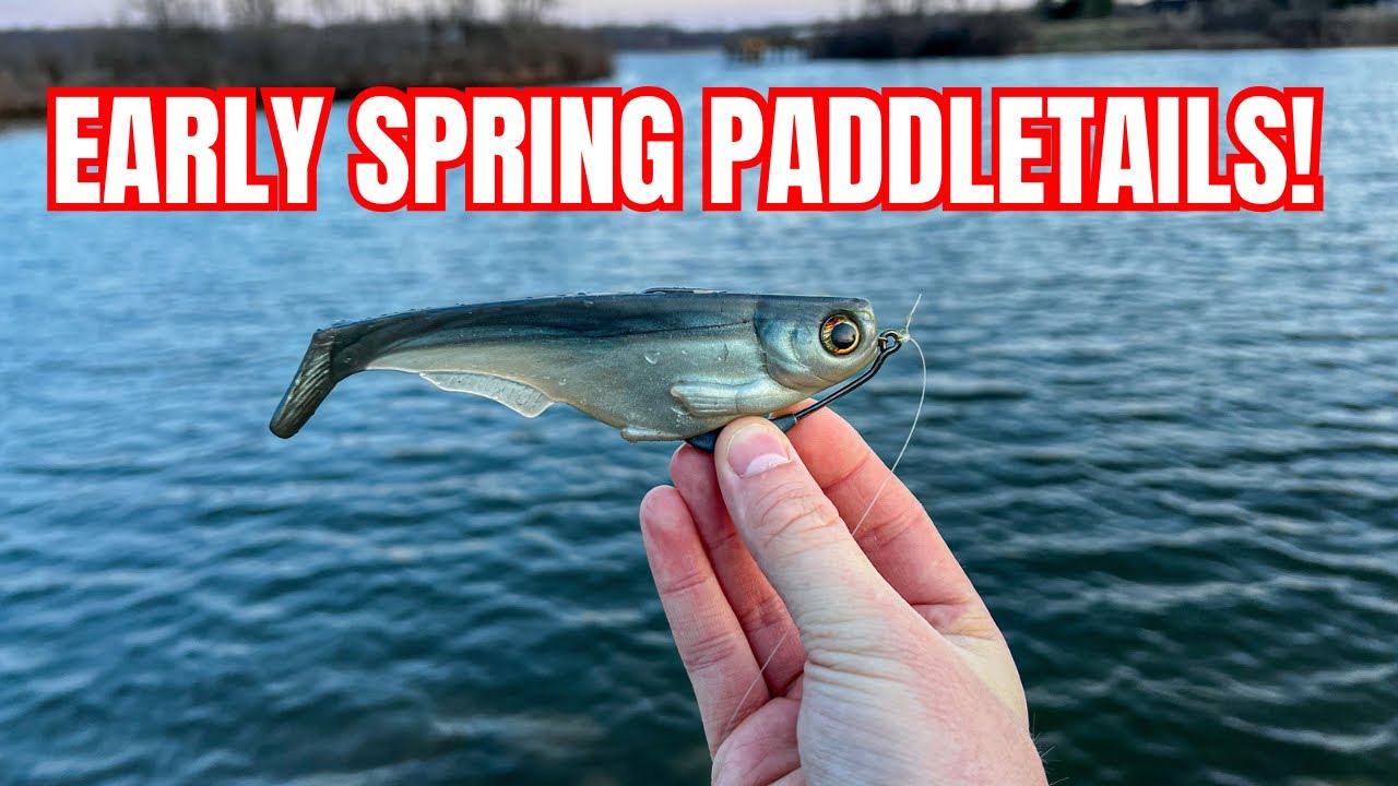 Can We Catch Fish on this BIG SWIMBAIT?!