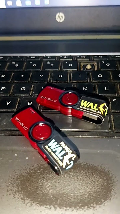 Suara Walet Joss Musim Anakan Walet Kawin, Suara Walet Semua Musim