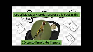 CD Canto limpio de Jilguero, Para aficionados y profesionales de la educación