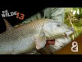 Kleine flsse groe fische die wilde 13 folge 4