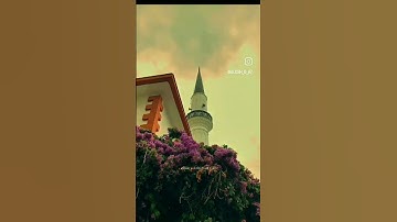 القارئ معاذ شيخون🌷.