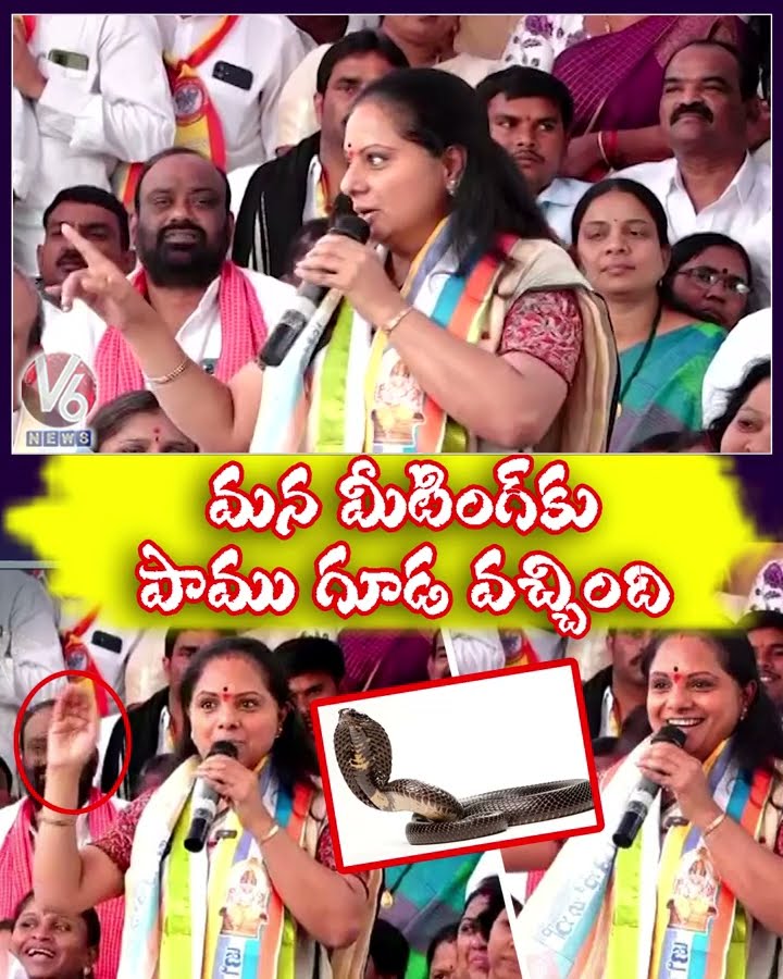 మన మీటింగ్ కు పాము గూడ వచ్చింది | MLC Kavitha Funny Comments | V6 Shorts