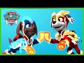 ¡Los Mighty Pups Super Paws compilación! - PAW Patrol Episodio Español - Pup Tales