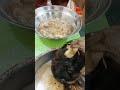أهم طبق لرمضان لحمة الغلابة أشويها تحت الشواية بس زغي الباذنجانة ٣زغات وضعيها في صنية
