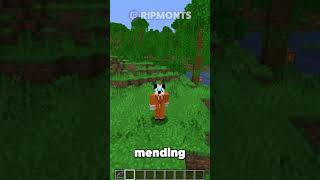 Which is best INFINITY or MENDING