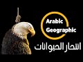 الظاهرة الخطيرة !! ..إنتحار الحيوانات ولماذا تقتل الحيوانات نفسها | الحيوانات والحياة البرية