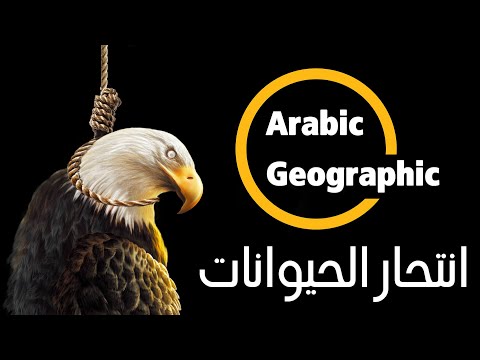 الظاهرة الخطيرة !! ..إنتحار الحيوانات ولماذا تقتل الحيوانات نفسها | الحيوانات والحياة البرية