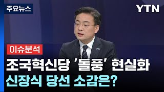 '돌풍' 현실화된 조국혁신당...신장식 당선 소감은? / YTN