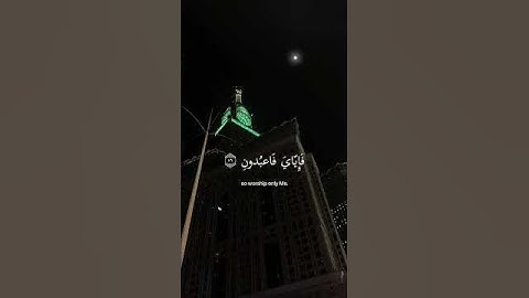 ﴿ يَا عبادِي الذِين آمنُوا إِن ارضِي وَاسِعَة ﴾ سوره العنكبوت، عبدالرحمن مسعد #ارح قلبك #قران كريم