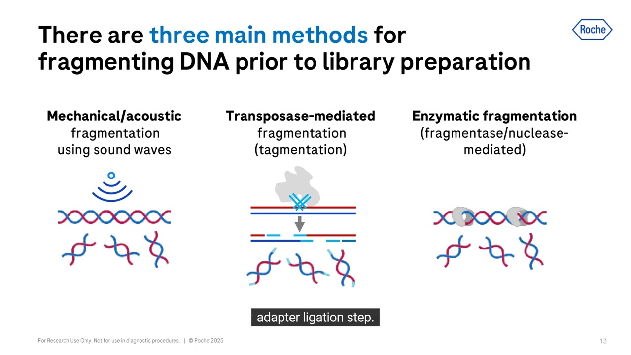 Ask a Scientist: Understanding Start Site Bias in DNA Sequencing with NGS