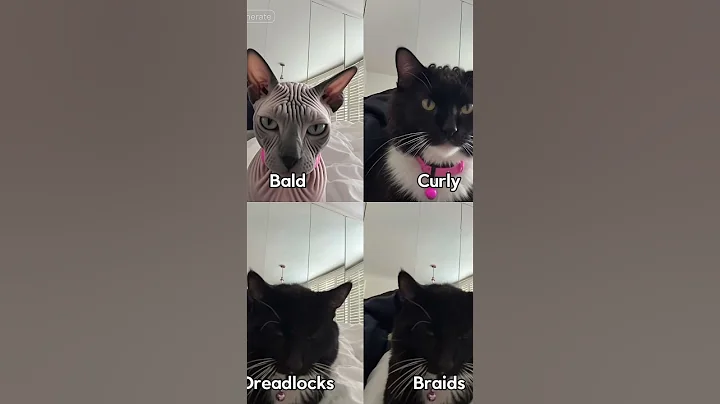 Watch the video about Why does Tiko look like a bald #duck #crush #cat #pet like and subscribe for more