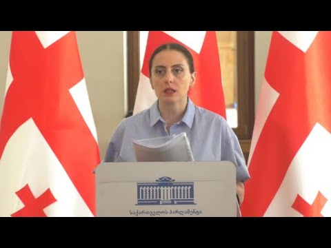 პოლიტიკურად აქტიურ მოქალაქეებზე  ძალადობა და რეპრესია გრძელდება- ხატია დეკანოიძე