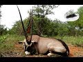 Hunting in Africa 2018 part2