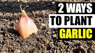 2 Ways To Plant Garlic - Garden Quickie Episode 100