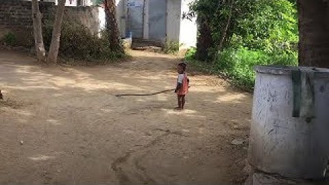Village Kid Google trying to get guava fruits from Tree || Aronrao Jana