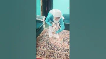 ٨ أغسطس ٢٠٢٤ ذبح ديك للكبار ١٨ 