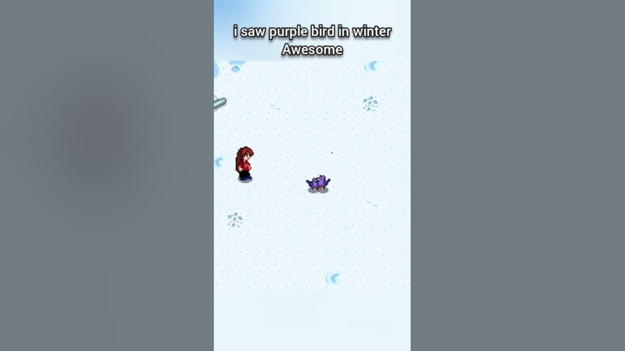 Purple Bird In Winter Stardew Valley YouTube purple-bird-in-winter-stardew-valley-youtube