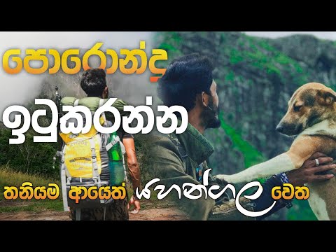 Timing තියලා තනියම නැගපු යහන්ගල ගමන 🙏 | බෲනෝ සොයා ගියපු ගමන | Yahangala Solo Hike | Solo Hiker |