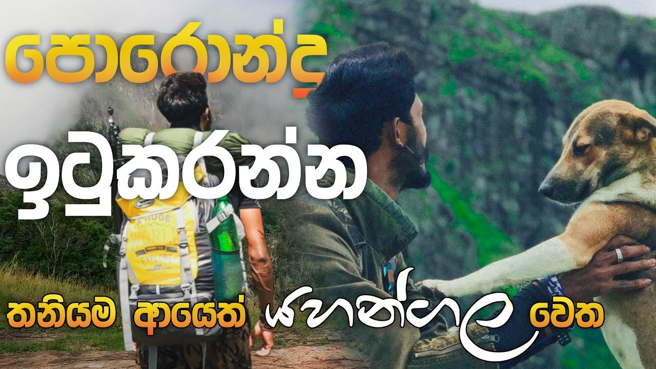 Timing තියලා තනියම නැගපු යහන්ගල ගමන 🙏 | බෲනෝ සොයා ගියපු ගමන | Yahangala Solo Hike | Solo Hiker |