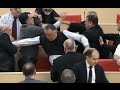 Boxing Day brawl breaks out in Georgian parliament