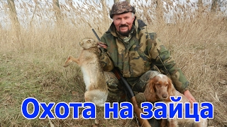Охота на зайца Охота на зайца