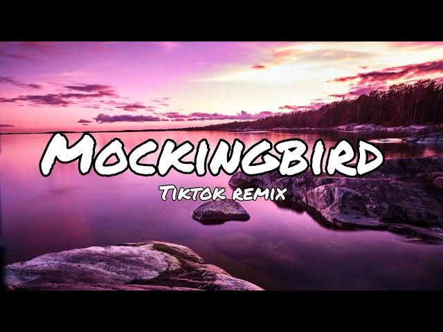 Mockingbird (Sped Up Version) (Remix) Lyrics