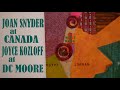 Joan snyder at canada joyce kozloff at dc moore gallery