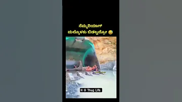 Kannada Troll Video N G Thug Life Funny Trolllife Comedyvideos Comedy Kingtroll 
