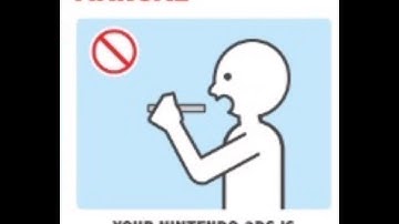 Nintendo 3DS Safety Manual!