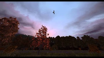 DayZ SA bird glitch