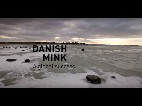 Kopenhagen Fur / Danish Mink Breeders - a global success