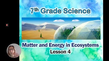 Matter and Energy in Ecosystems: Lesson 4