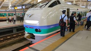 新潟駅着 E653系上沼垂色国鉄特急エンブレム付き            2024年7月31日