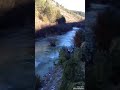 Pesterska visoravan, CRNI VRH!