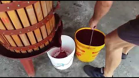 Quanto vale un torchio Antico?