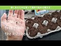 Start seeding with FREE STAFF from kitchen with 4 benefits!●捨てないで！無料で卵パックやイチゴパックを使って家で種まきしてみた●vol31