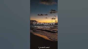 ﴿يقول الإنسان يومئذ أين المفر﴾ محمد المحيسني حالات واتس تلاوة قرآن