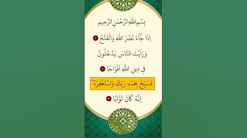 محمد الفقية - سورة النصر