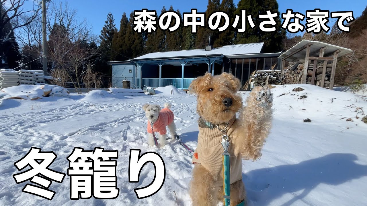 大寒波で森の家に冬籠り［中古物件リフォームDIY］