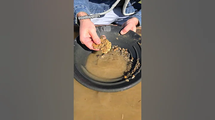 Guy Throws Away $40,000 Gold Nugget..