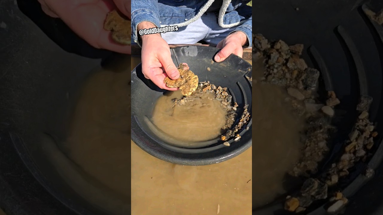 Guy Throws Away $40,000 Gold Nugget..