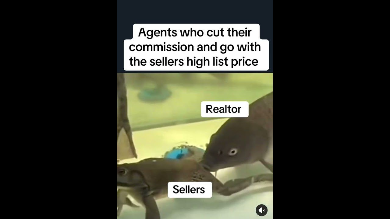 Realtor Life 