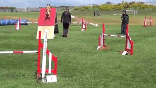 Maria and Maisie Agility Nuts 11th May Agility
